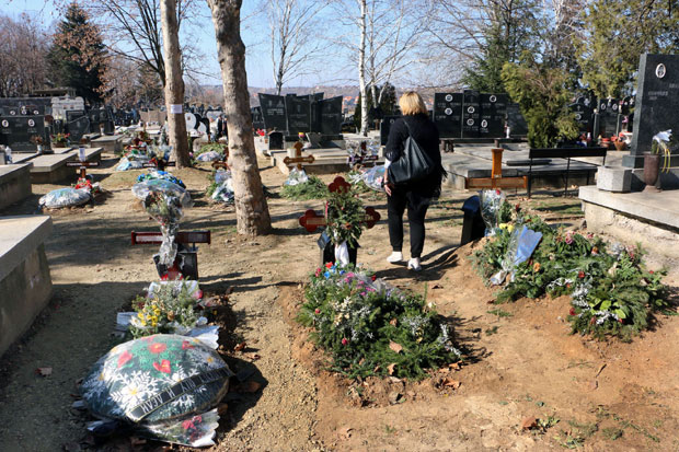 ГРОБЉА У СМЕДЕРЕВУ ОДАВНО ТЕСНА: Ваде дрвореде и копају гробнице